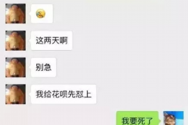 杞县企业清欠服务